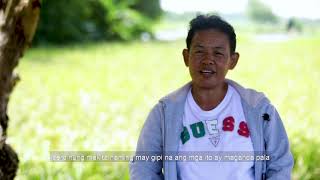 RCEF Seed Program PalaySikatan: Sto. Domingo, Ilocos Sur