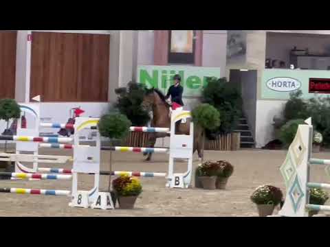 GEQUAN VD BARTVELDEN 130 classe Euroregio Lier