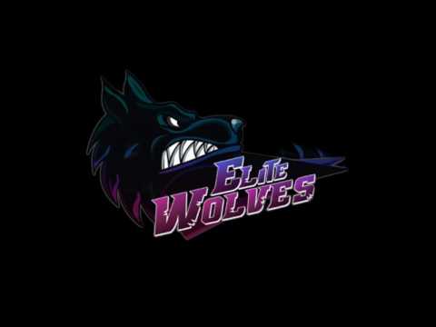 Team-Elite Wolves(Integrantes)