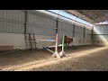 4 ans hongre par Canabis d'Albain X Veneur d'Etenclin