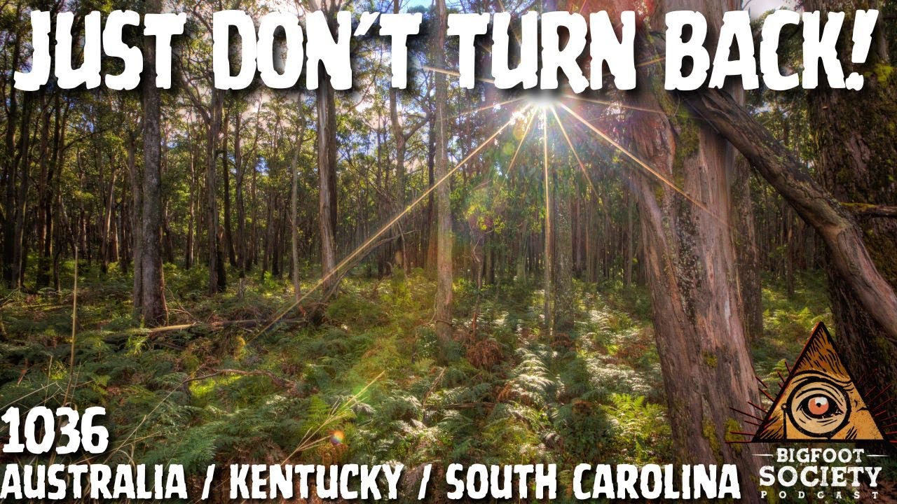 From Australia to Appalachia: Chilling Bigfoot Encounters Caught Live