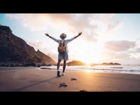 The Wanderer's Dream : A Journey of Discovery