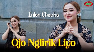Download lagu INTAN CHACHA - OJO NGLIRIK LIYO ( Video Music ) mp3 Download lagu INTAN CHACHA - OJO NGLIRIK LIYO ( Video Music ) mp3