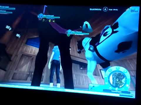 Trakehner und ich.....