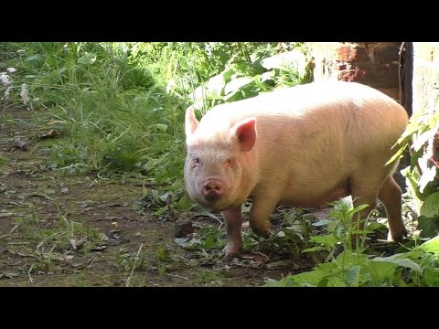 Morning Prayer –Saturday, 17th July 2021