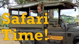 African Wildlife Safari at Kruger National Park, South Africa