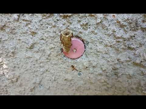 JATAÍ E AS SENTINELAS - importância -