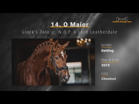 O Maior - Glock's Toto Jr. N.O.P. x Lord Leatherdale