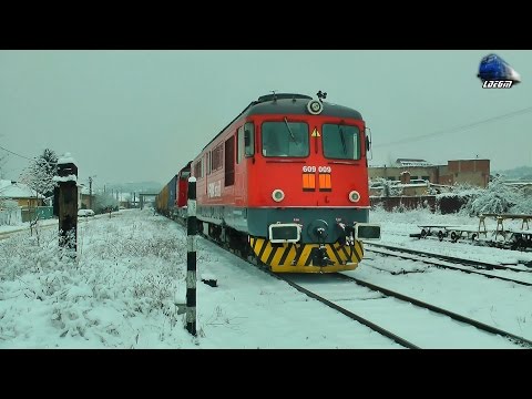 060-DA 609 009-9 & 040- DF 429 010-5 H-FOX in Zapada/Snow in Oradea Est - 08 February 2017