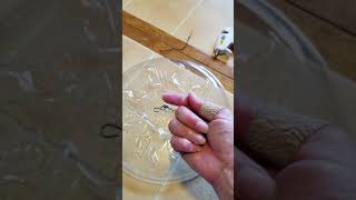 Suet Bird Feeder Rain Guard