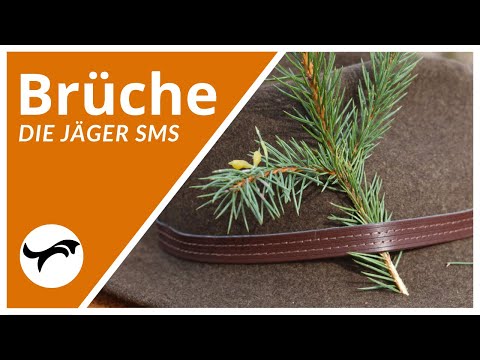 Waidgerechte Brüche und bruchgerechte Holzarten (TaFiKiEiEr)