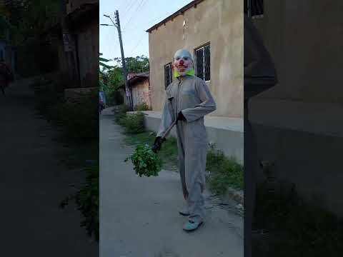 San Zenón Magdalena Colombia