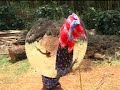 GETENA NA MAMIORO KISII MOVIES PART 2