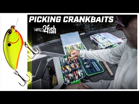 Mike McClelland’s Guide to Crankbait Fishing