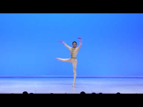 João Vitor Santana, 407 – Prix de Lausanne 2020 Prize Winner – Classical