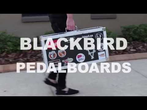 Blackbird Pedalboards 1224 Series 12x24 PRE-Order Pedalboard Tweed w/softcase image 2