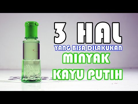 Blog untuk menurunkan berat badan cara mengisi Cara menurunkan berat badan ulasan betis wanita