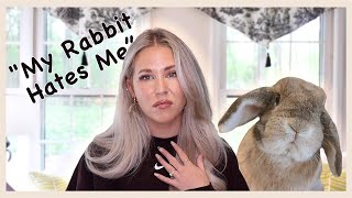 What to Do If Your Rabbit is Scared of You