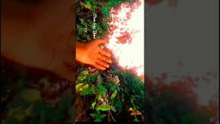 Download lagu Chaaha Toh Bahut Na Chahe Tujhe | Imtihan | Saif Ali Khan, Raveena Tandon | Kumar Sanu, Bela | 90s mp3