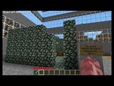 Official Mindcrack Server Submission Video - LET ME IN!