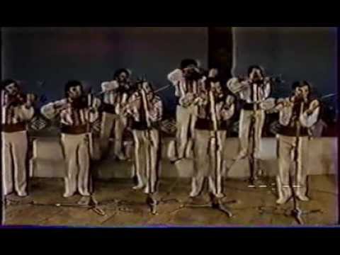 Doina Moldovei -  Hora Martisorului  1988