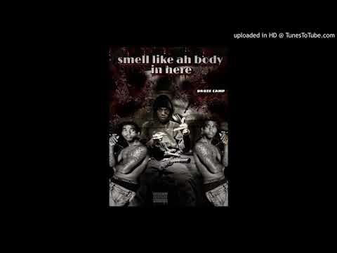 Rosee Camp - backstreet