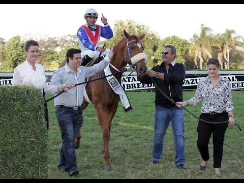 NO WORRIES - KZN Breeders Million Mile 2014