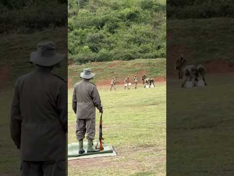 Sniper Museveni 😳🎯🇺🇬 #shorts