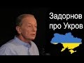 Михаил Задорнов про Укров и Рарога 