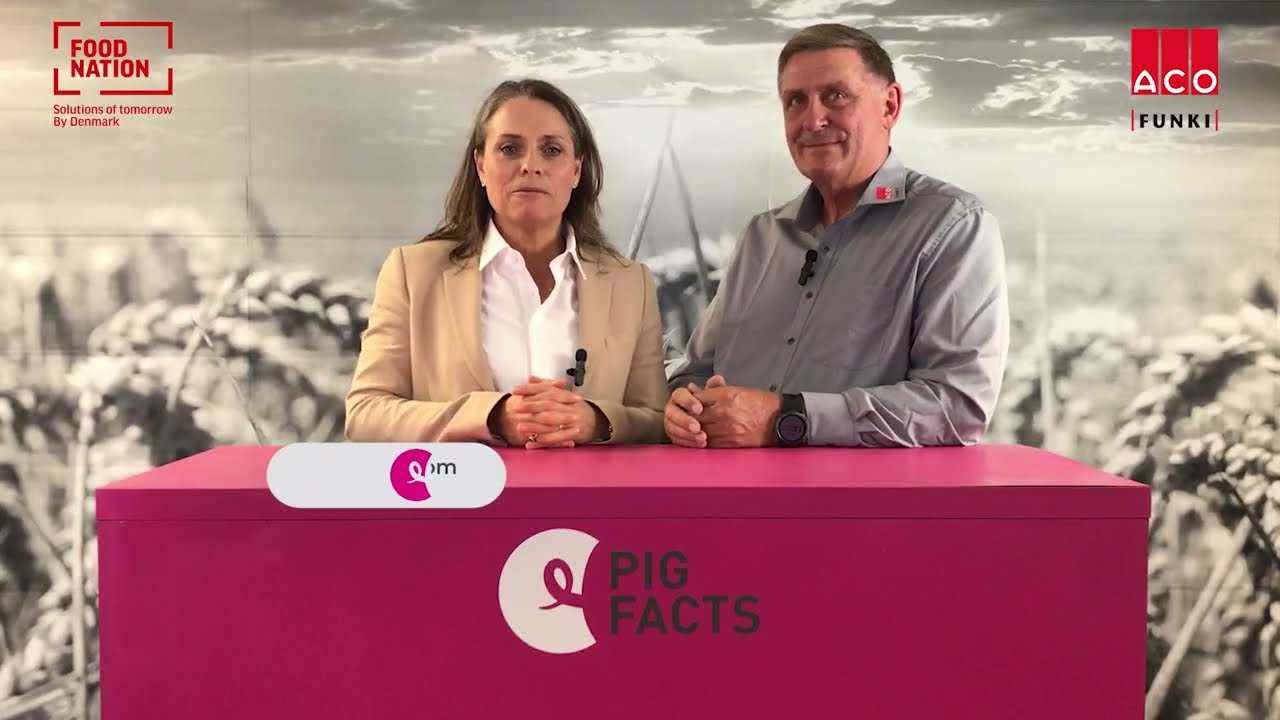 Interval Feeding of Pigs