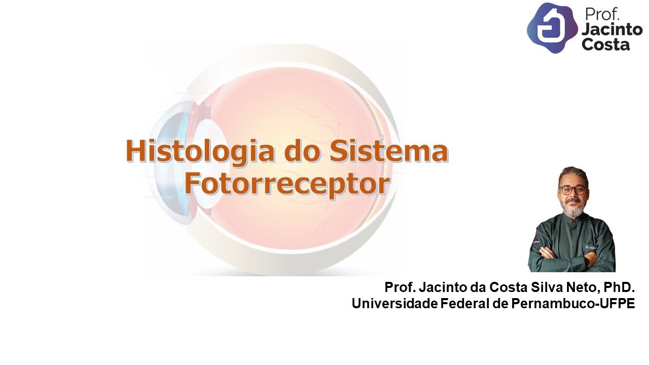 12-Histologia do Sistema Fotorreceptor (olho) - Nível Graduação