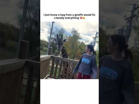 I just know a hug from a giraffe would fixLiterally everything❤️‍🩹🥹