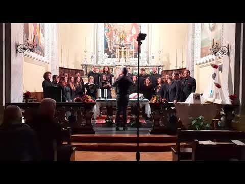 Coro Vox Viva - Ave Maria Gratia Plena, Josu Elberdin