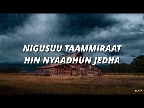 NIGUSUU TAAMMIRAAT - HIN NYAADHUN JEDHA - Lyrics