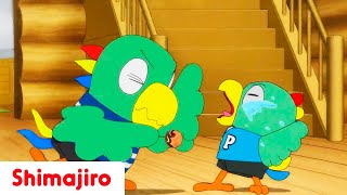 Being a big brother is tough! | Full Episode #59 | Shimajiro