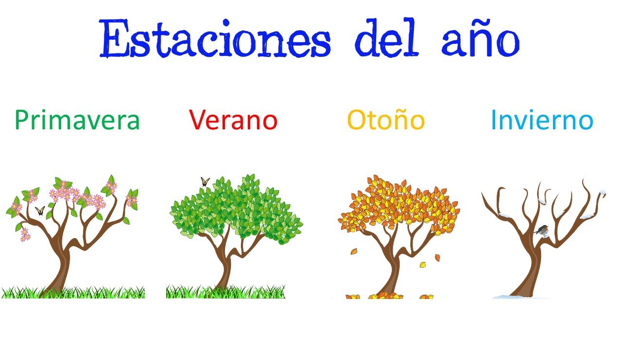 🌈 Estaciones del año 🌞 / ¿Qué son? / Características [Fácil y Rápido] | BIOLOGÍA |