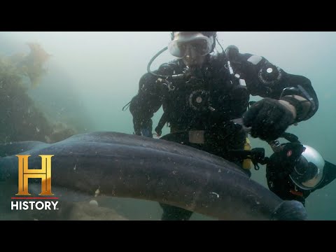Monstro do Lago Ness | Os maiores mistérios da história com Laurence Fishburne retorna em 30 de janeiro | História
