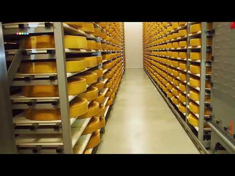 FoodBlog "So schmeckt Österreich" - Ausflug ins Käseglück auf der Käsestraße