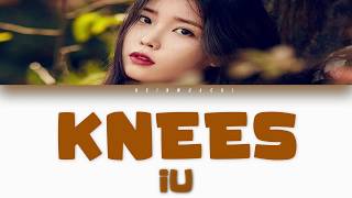 IU (아이유) - Knees [Han/Rom/Eng lyrics]