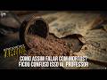 Live 606 How To Talk To The Dead When One Wouldn T Believe In The Dead Professor By Popular D