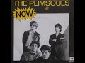 The Plimsouls - I Want You Back