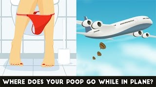 What Happens To Your Poop In An Airplane Toilet