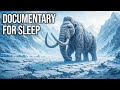 What Was Earth Like During The Ice Age Documentary For Sleep
