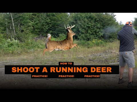 How to shoot at a running DEER!  #deerhunting  #whitetails #fun #shooting