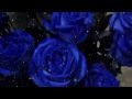 Ladies of Westeros - Лианна Старк [Игра престолов] 