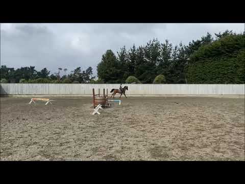 Conway Xtreme Home schooling