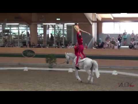 VV Ingelsberg 2 (GER), CVIO Ebreichsdorf 2018