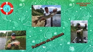 Рязанская область рыбалка в спасском районе