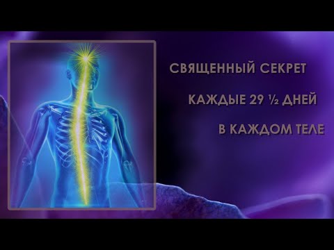 Священный секрет: каждые 29 ½ дней / в каждом теле