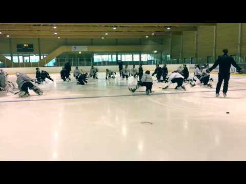 Back on ice Gottéron MJ / 20.06.17